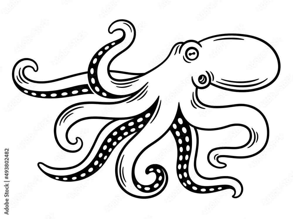 Octopus vintage illustration Stock Vector | Adobe Stock