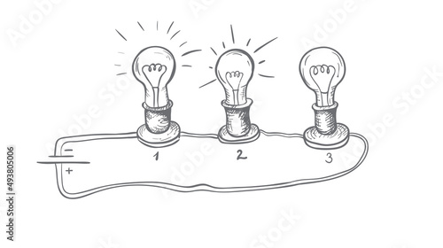 Consistently flared bulbs.