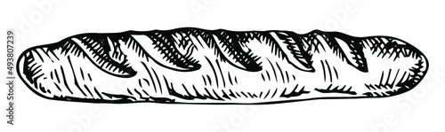 Baguette bread vector drawing. Bakery product sketch. Vintage food illustration for shop, bread house label, menu or packaging design.