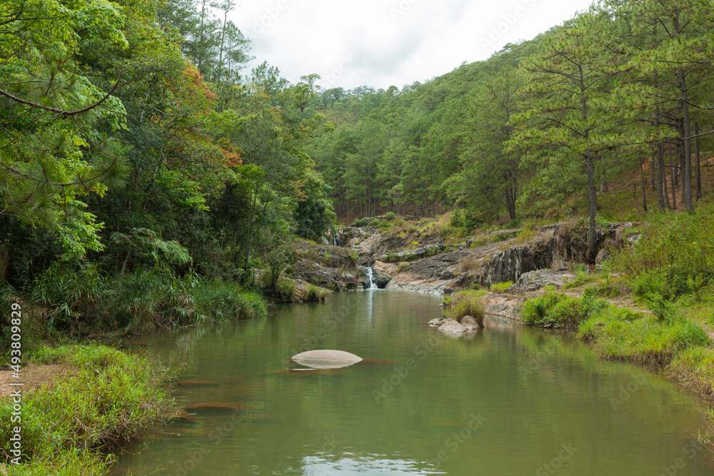 The peaceful beauty of the golden stream in Da Lat, Lam Dong, Vietnam The peaceful beauty of the golden stream in Da Lat, Lam Dong, Vietnam
