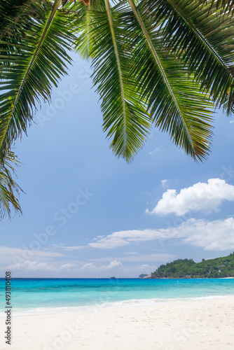 Fototapeta Naklejka Na Ścianę i Meble -  Tropical beach with palm trees