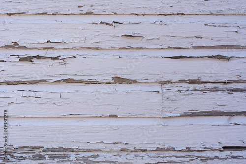Peeling white painted wooden siding provides a textured weathered background.