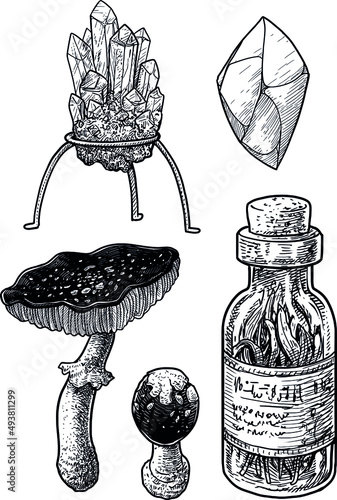 mineral, gem, mushroom and potion illustration, drawing, engraving, ink, line art, vector