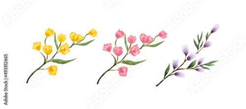 Wallpaper Mural Set of Botanical in watercolor style isolated on white background. Hand drawn garden plants with leaves and flowers. Vector illustration Torontodigital.ca