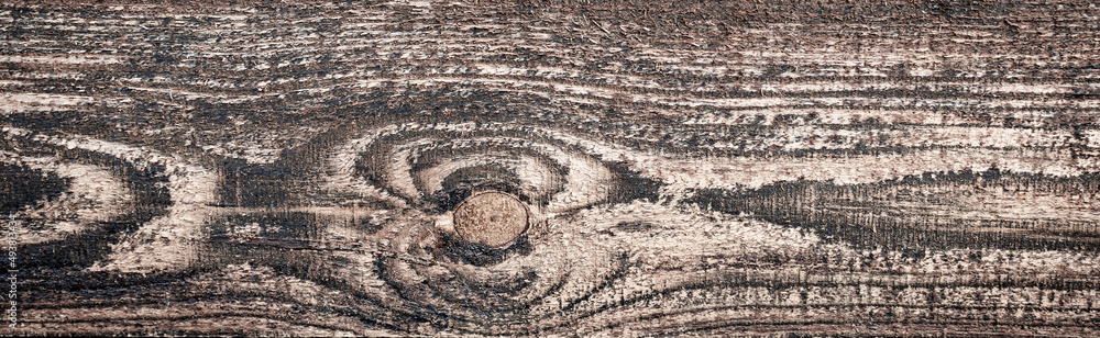 Textural image of a wooden surface Textural image of a wooden surface