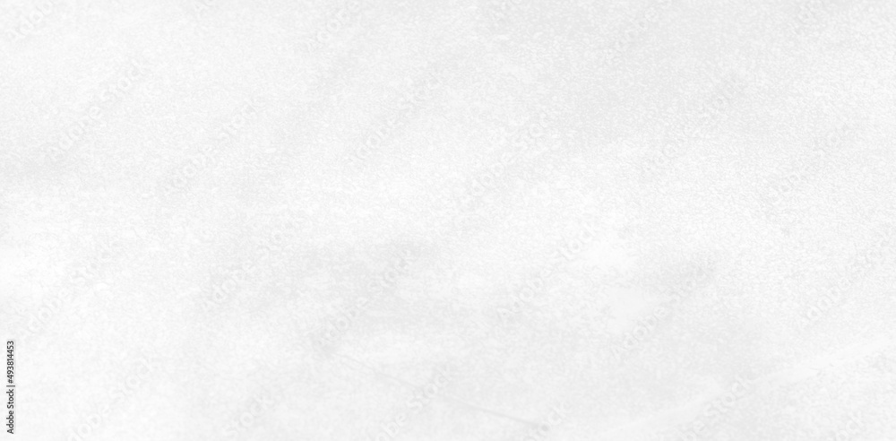 Obraz premium Abstract blurred background. reflection of leaves and gray light lines. reflected on the white concrete wall.