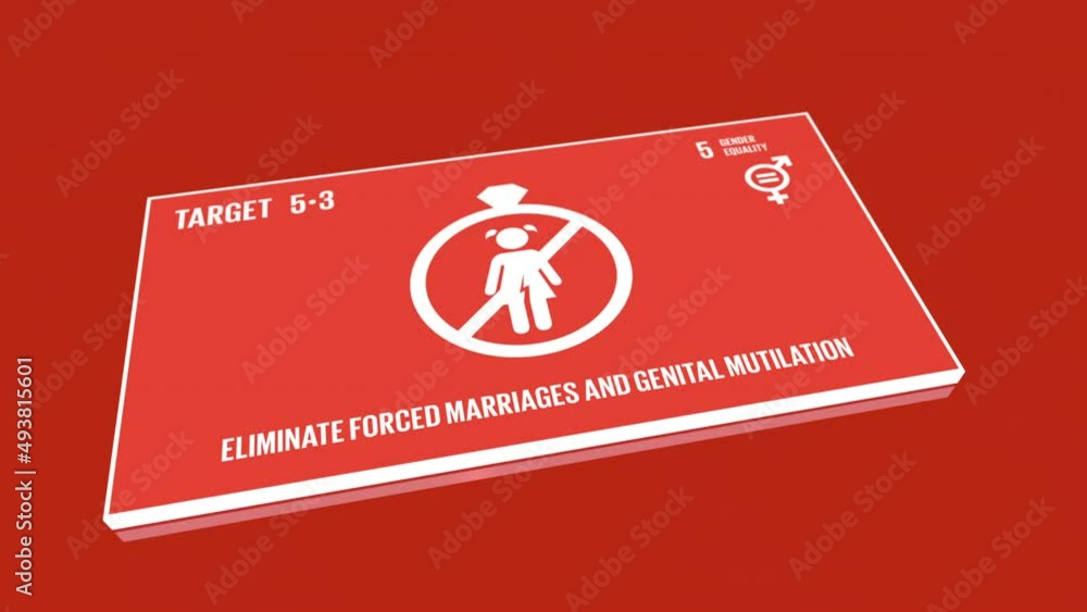17 Global Goals SDGs Media Card Target 5-3 Gender Quality 17 Global Goals SDGs Media Card Target 5-3 Gender Quality
