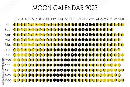 2023 Moon calendar. Astrological calendar design. planner. Place for stickers. Month cycle planner mockup. Isolated black and white background