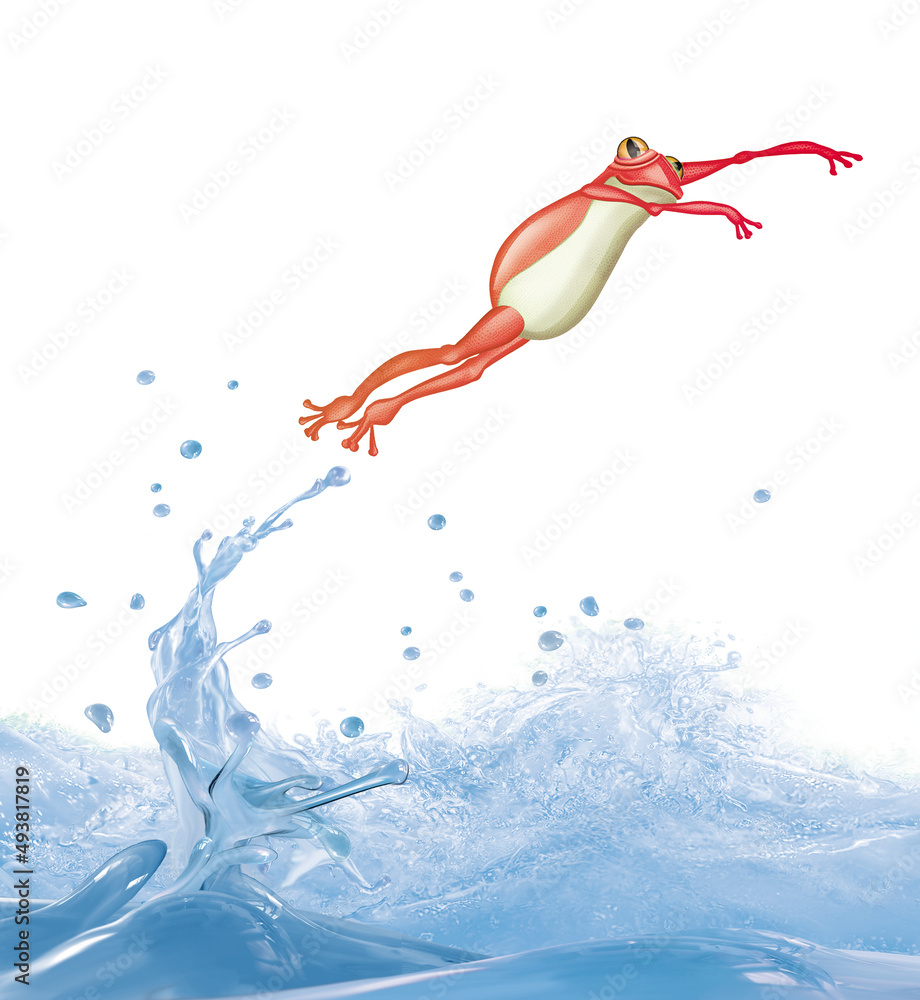 Obraz premium grenouille, saut, attitude , France , rouge, , eau, batracien, clapoter, liquide, abattre, abstrait, drôle, bouillonner, vague, éclaboussure, propre, blanc, isolé, transparent, boire, clair, nature, f