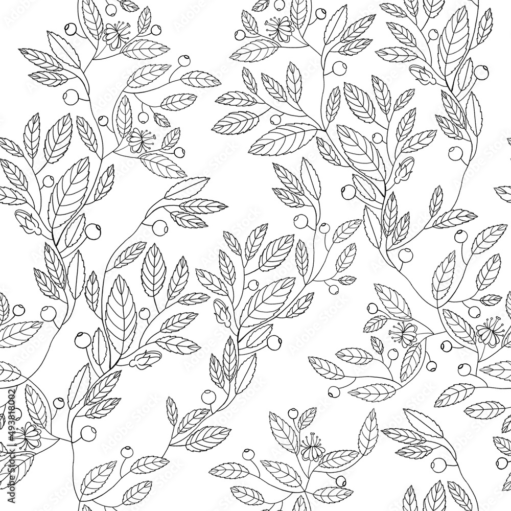 Botanical hand drawn seamless pattern with leaves and berries isolate on white.