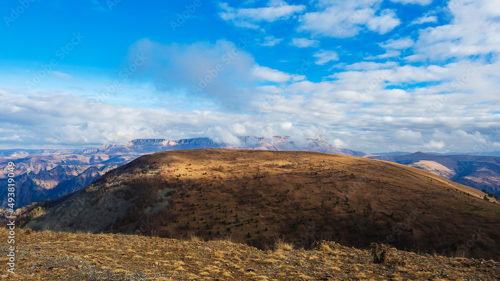 Obraz premium Autumn mountain with dry grass and green coniferous trees against the backdrop of the Caucasian mountain valley under a blue sky with low floating clouds