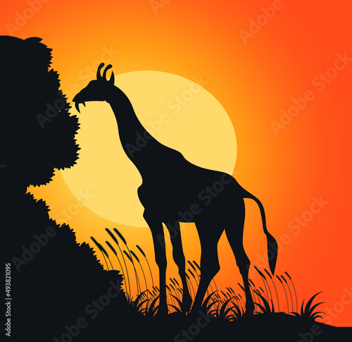 giraffe silhouette on sunset background  Giraffe Silhouette with Sunset Vector Illustration