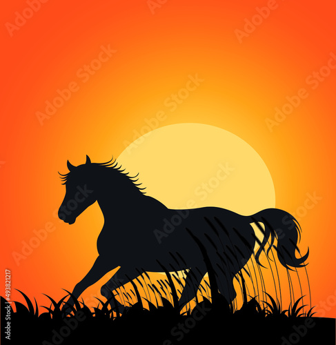 horse on sunset background, Horse Running Silhouette Vector Illustration