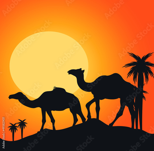 silhouette of camel in desert, Camels Silhouette Vector Illustration © Anousha