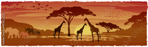Fotografie, Obraz African savanna landscape at sunset, Silhouettes of animals and plants, nature of Africa