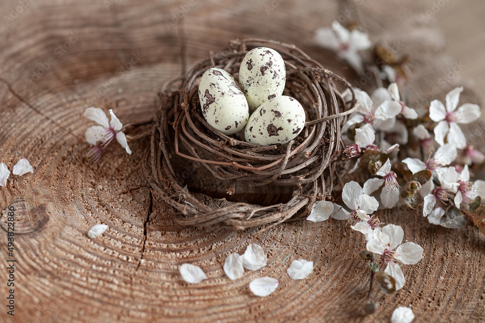 Spring still life with quail eggs and flowers. Easter background Spring still life with quail eggs and flowers. Easter background