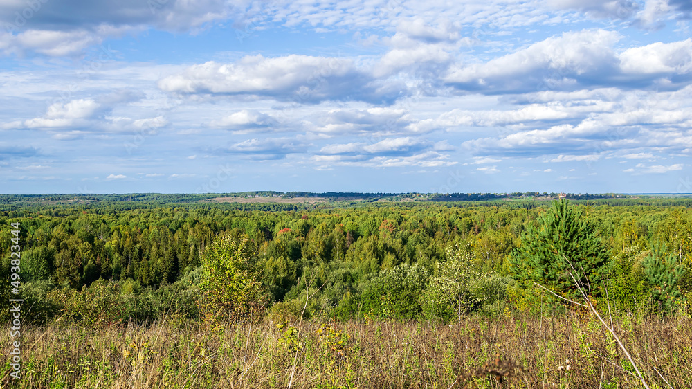 landscape, view of the forest valley landscape, view of the forest valley
