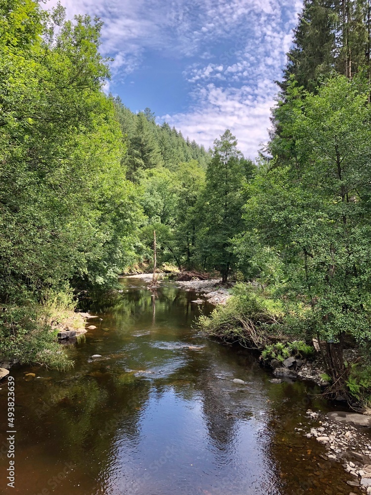 Natur, Landschaft, Eifel, Fluss, Naturschutzgebiet, Bäume, Wald, Fichte, Tanne, Bach, Sommer, Himmel, Natur, Landschaft, Eifel, Fluss, Naturschutzgebiet, Bäume, Wald, Fichte, Tanne, Bach, Sommer, Himmel,