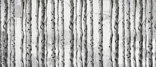 Fényképezés art painted birch trees on a textured background drawing in light and dark colo