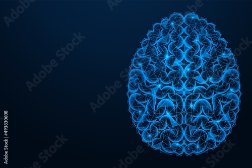 Convolutions of the human brain. Top view. A low-poly design consisting of interconnected lines and dots. Blue background.