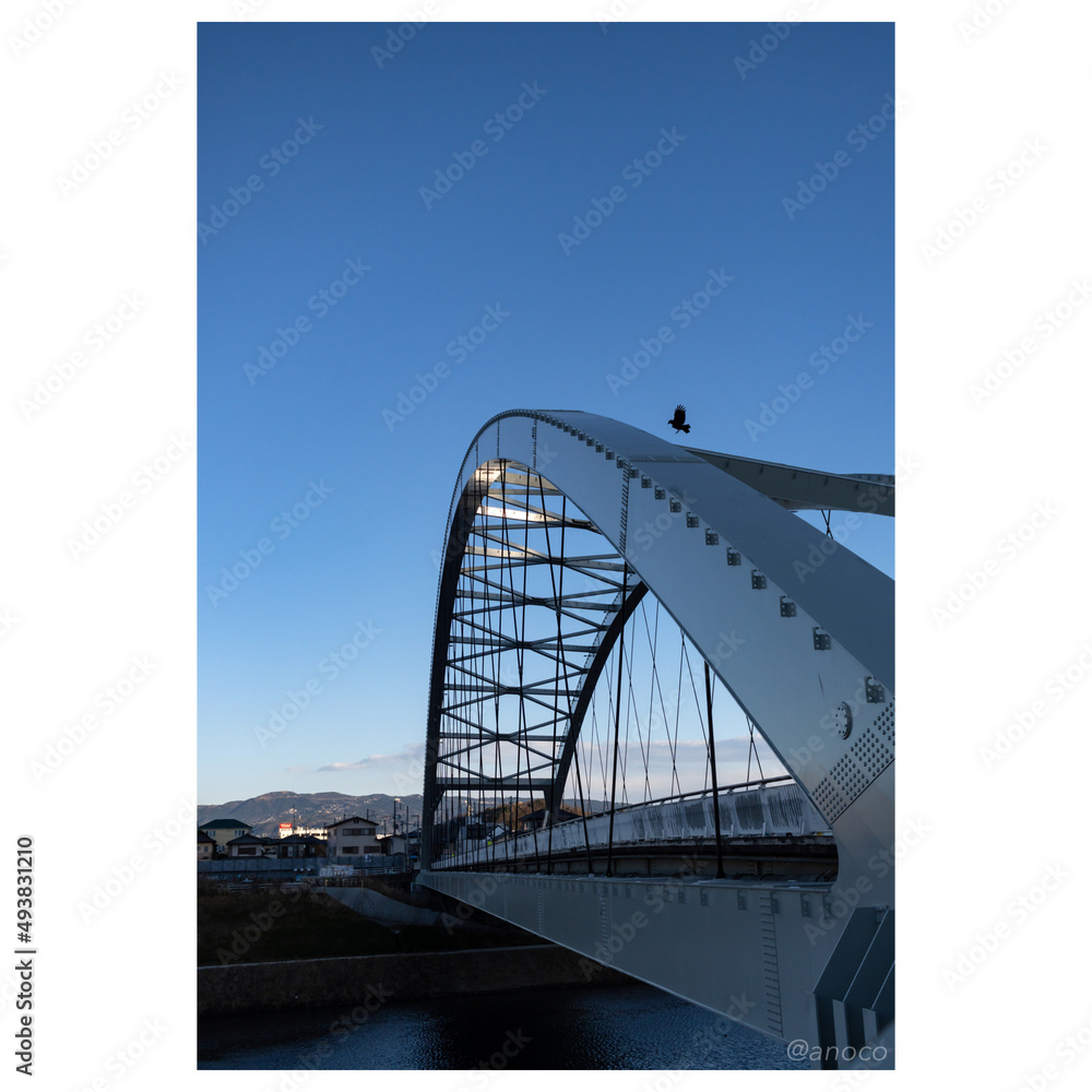 Obraz premium city harbour bridge