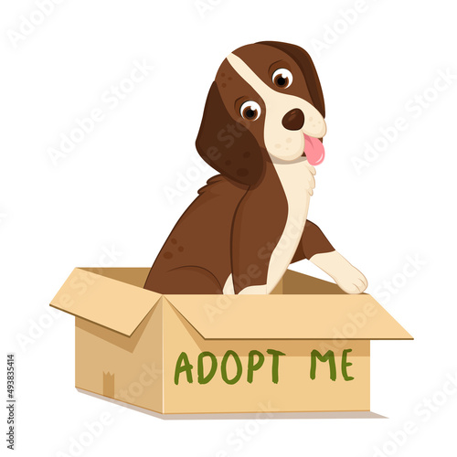 Cute cartoon dog sitting in a cardboard box with the inscription adopt me. Help homeless animals find home concept. Vector illustration isolated on a white background.