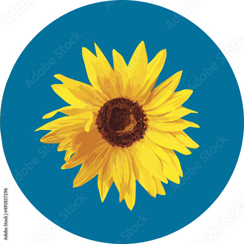 Sunflower Yellow and Blue Color
