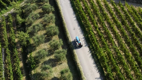 Aerial shot of tractor driving trough vineyards and olive trees