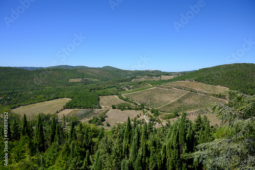 tuscany landscape with fields and tree - italian landscape background