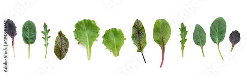 Φωτογραφία mix of green leaves for salad