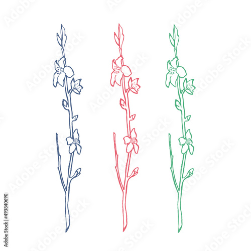 Colorful Spring Folar without background Vector 