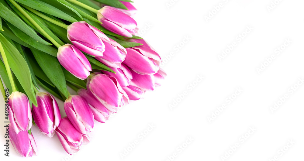 A bouquet of beautiful pink tulips lies on a white background . copy space