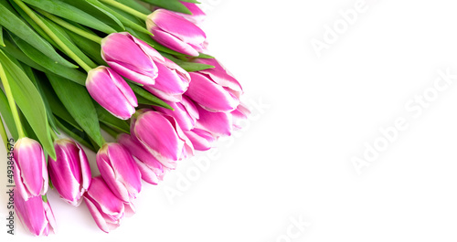 A bouquet of beautiful pink tulips lies on a white background . copy space