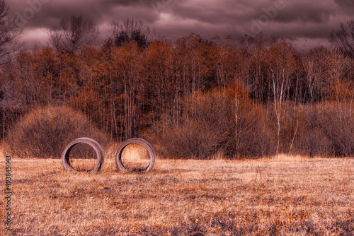 Fototapeta Naklejka Na Ścianę i Meble -  las