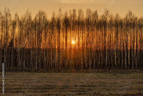 Fototapeta Naklejka Na Ścianę i Meble -  zachód słońca