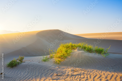 Sand dunes in the desert. Landscape in the daytime. Lines in the sand. Dunes and sky. Summer landscape in the desert. Hot weather.