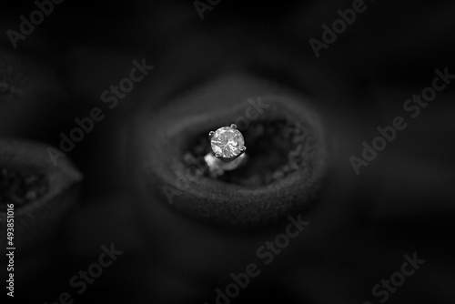 Diamond Earring In a Gum Nut photo