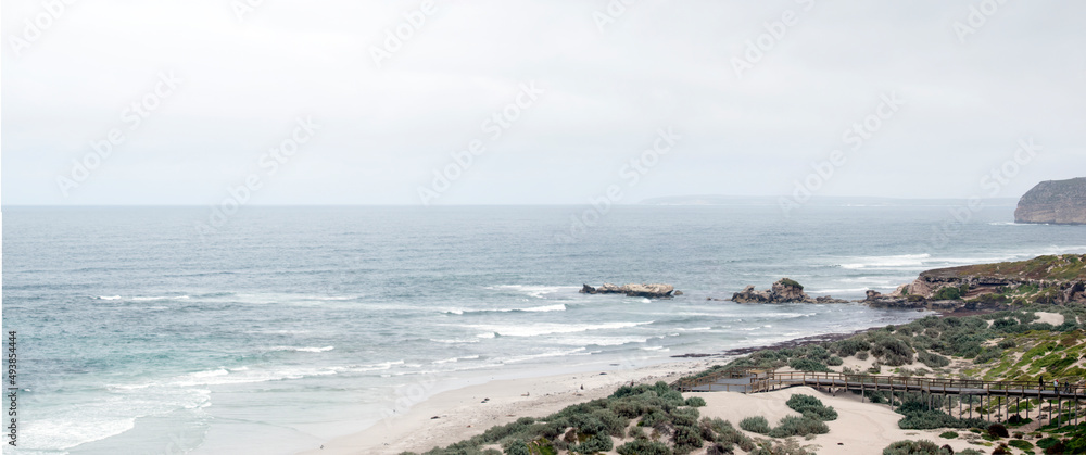 the beach at seal bay south Australia
