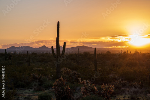 Sunrise in Phoenix © Penny Britt