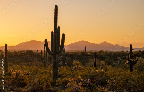 Sunrise in Phoenix