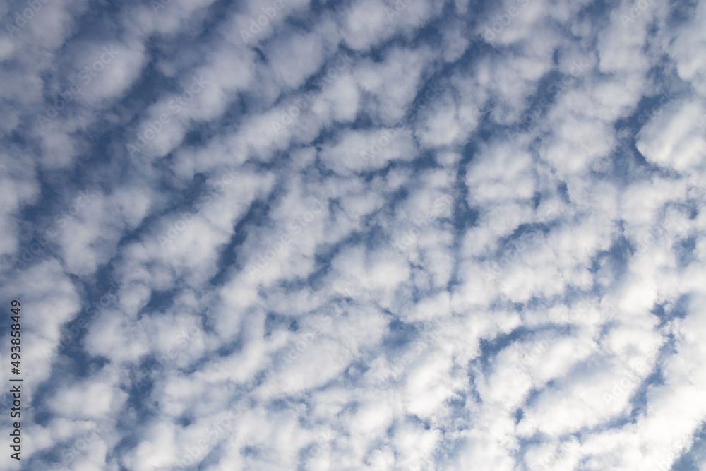 white fluffy clouds in the blue sky . panorama blue sky background with tiny clouds.