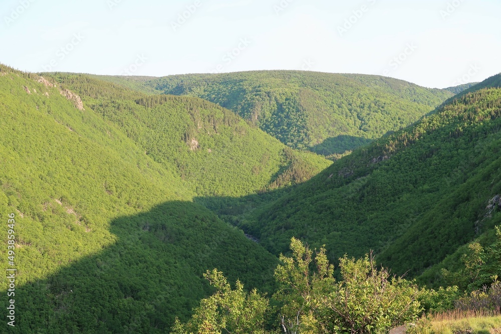 Fototapeta premium landscape with mountains