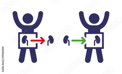 Kidney donor icon. Kidney transplant symbol vector illustration.