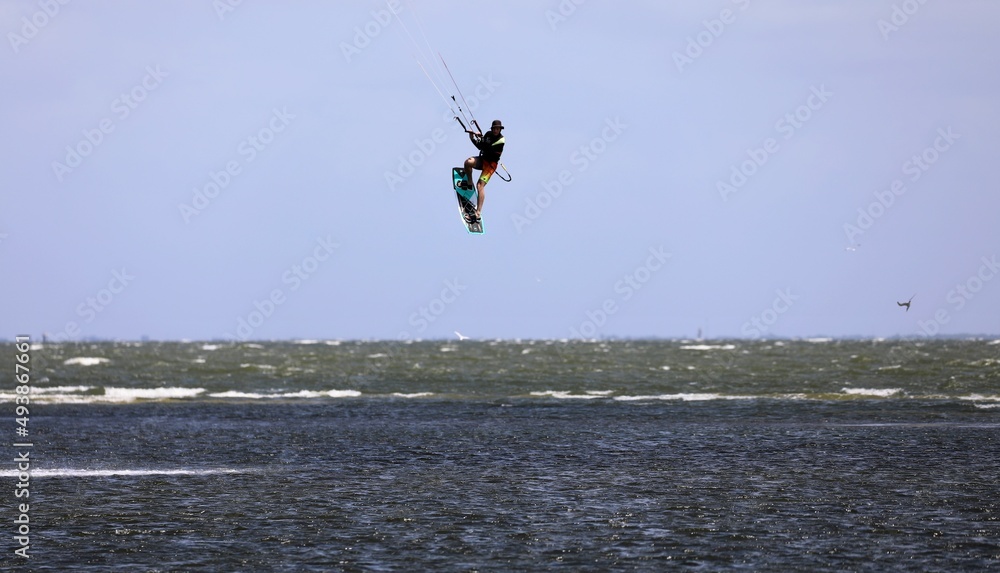 Fototapeta premium kite in flight