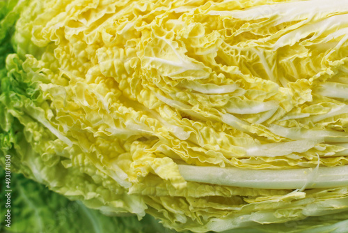 Close up photo of Fresh Hakusai cabbage / Napa cabbage. Full frame.