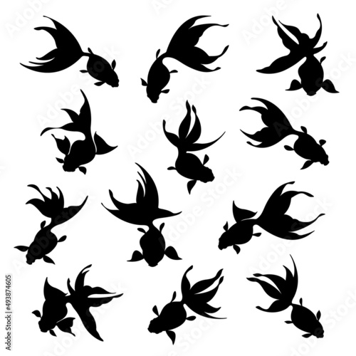 Japanese style and elegant goldfish material collection,,
