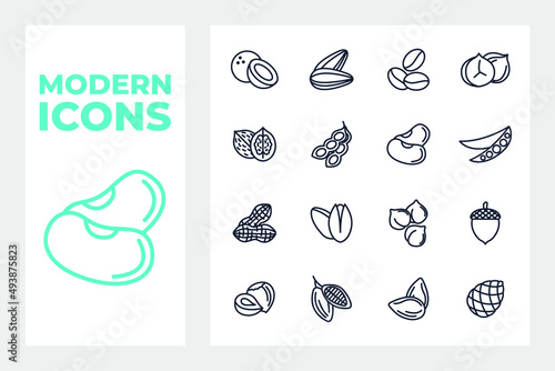 Nuts, seeds and beans set icon symbol template for graphic and web design collection logo vector illustration