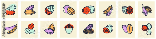 Nuts, seeds and beans set icon symbol template for graphic and web design collection logo vector illustration