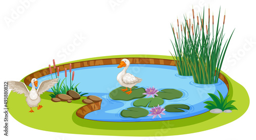 Fototapeta Naklejka Na Ścianę i Meble -  Ducks in a pond in cartoon style