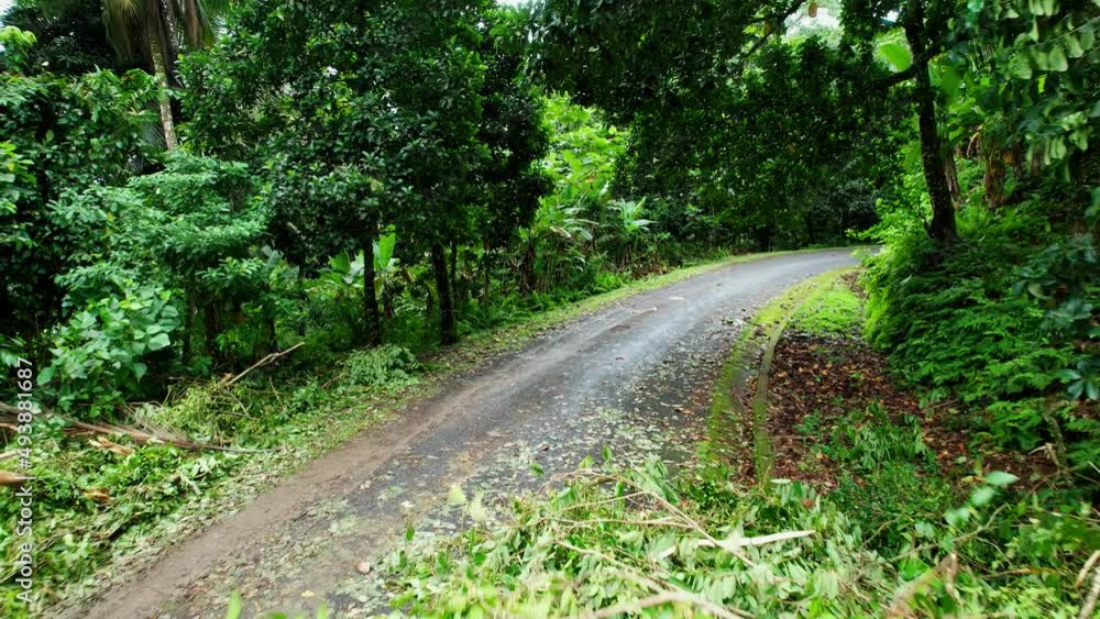Aerial view over woods obstacle, blocking the way, storm aftermath in jungles of west Africa - reverse, drone shot Aerial view over woods obstacle, blocking the way, storm aftermath in jungles of west Africa - reverse, drone shot